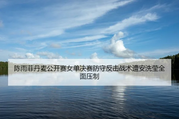 陈雨菲丹麦公开赛女单决赛防守反击战术遭安洗莹全面压制