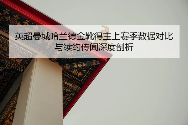 ying-chao-man-cheng-ha-lan-de-jin-xue-de-zhu-shang-sai-ji-shu-ju-dui-bi-yu-xu-yue-chuan-wen-shen-du-pou-xi-2-300.jpg